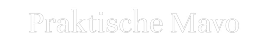 NEONSIGN: Praktische Mavo